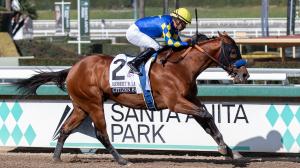 NTRA 3-year-old Triple Crown poll, Citizen Bull, 2025 Kentucky Derby